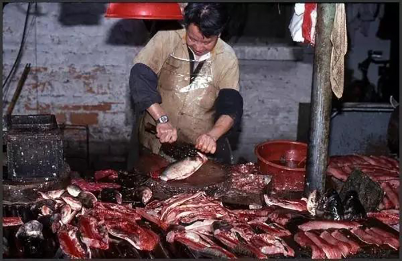 何老板萬(wàn)萬(wàn)沒(méi)想到，自己的餃子云吞店開(kāi)業(yè)的第一天就門庭若市