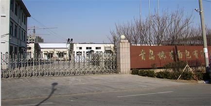 pic19